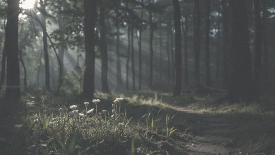 Czy widzenie aury jest niebezpieczne? Zrozum ryzyko i korzyści