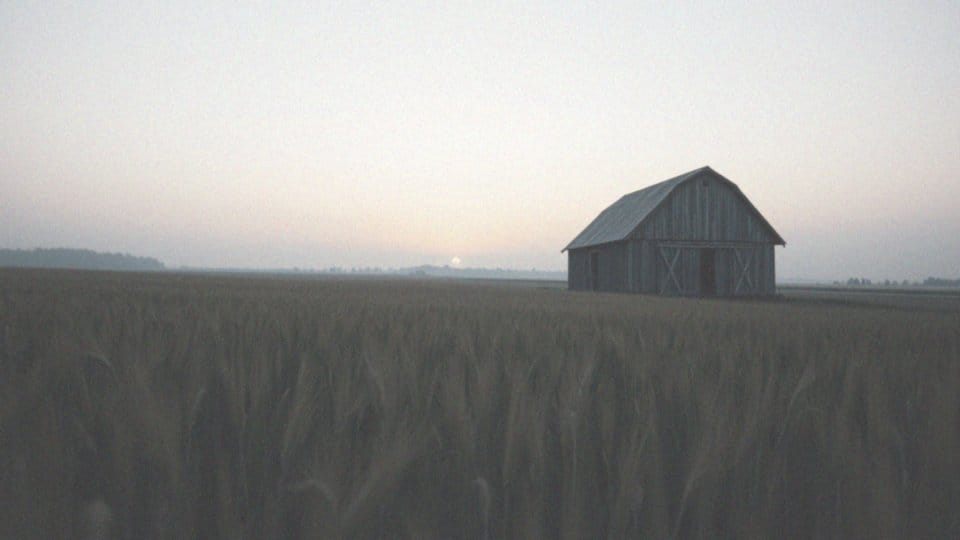 Dowody na istnienie UFO – co mówią naukowcy i świadkowie?