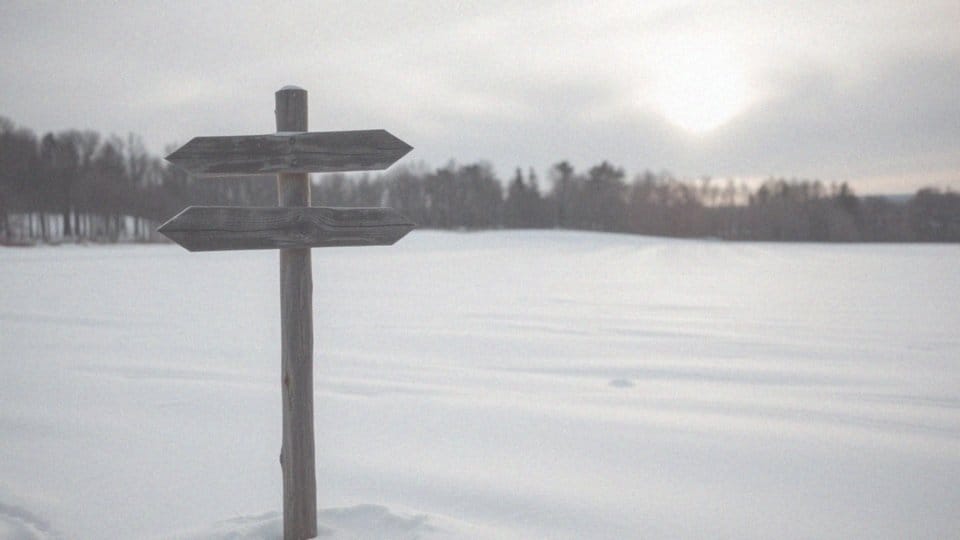 Jaki znak zodiaku jest w grudniu? Strzelec i Koziorożec