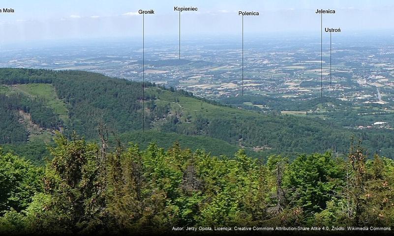 Kopieniec (Beskid Śląski)