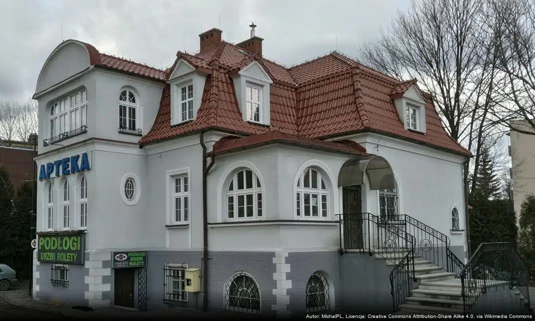 Bezpieczeństwo na drogach w zimowej aurze – wskazówki dla kierowców i pieszych